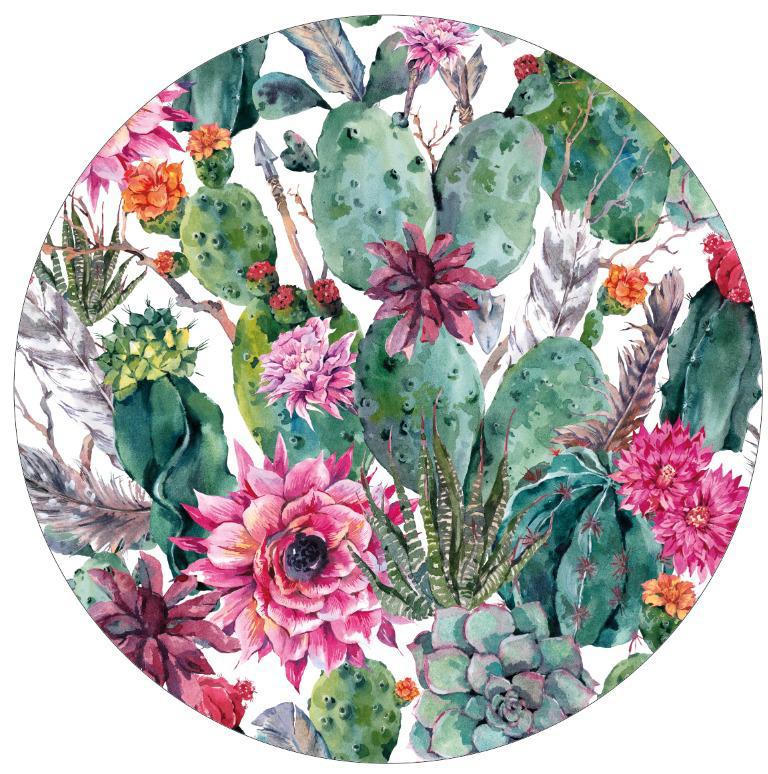 BAJOPLATO DESERT FLOWERS